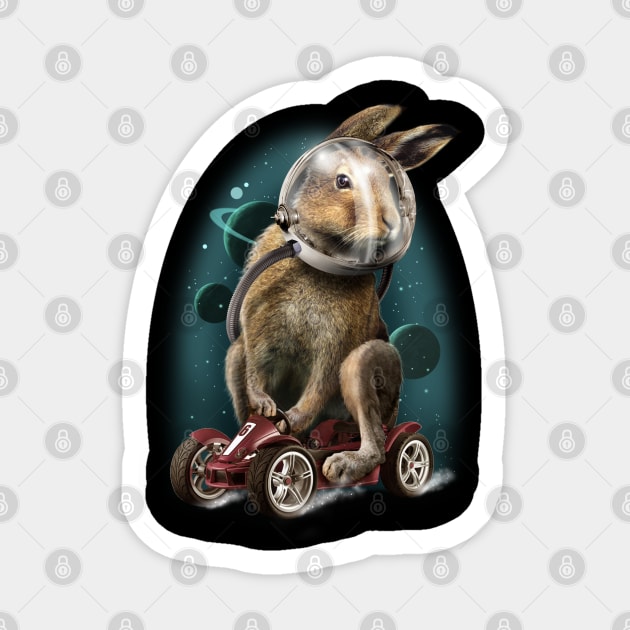 RABBIT RACER Sticker by ADAMLAWLESS